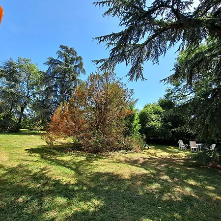 Le Duc De Savoie Thonon-les-Bains